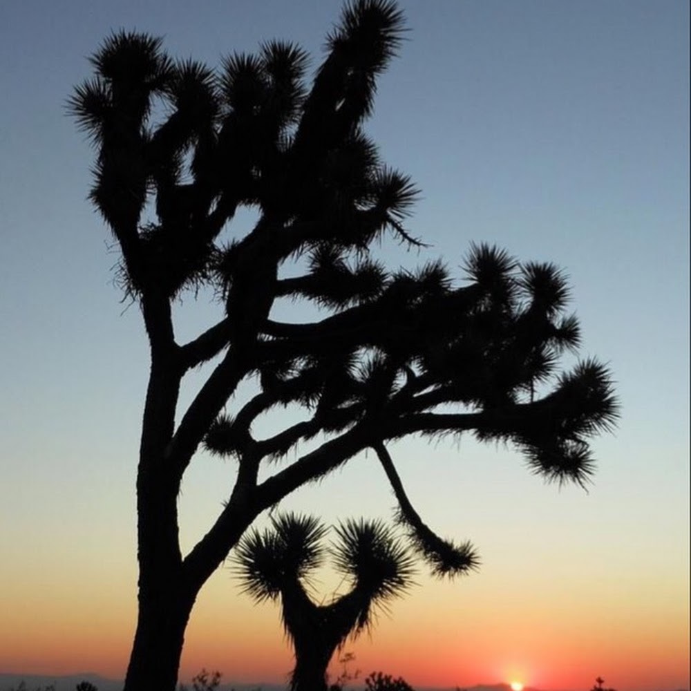 Meet your Posher, AnneMarie